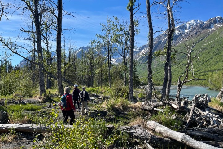 People hiking in a forested area with mountains and river in the background.